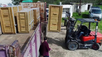 Kızıl geyikler doğaya salınıyor - BİLECİK