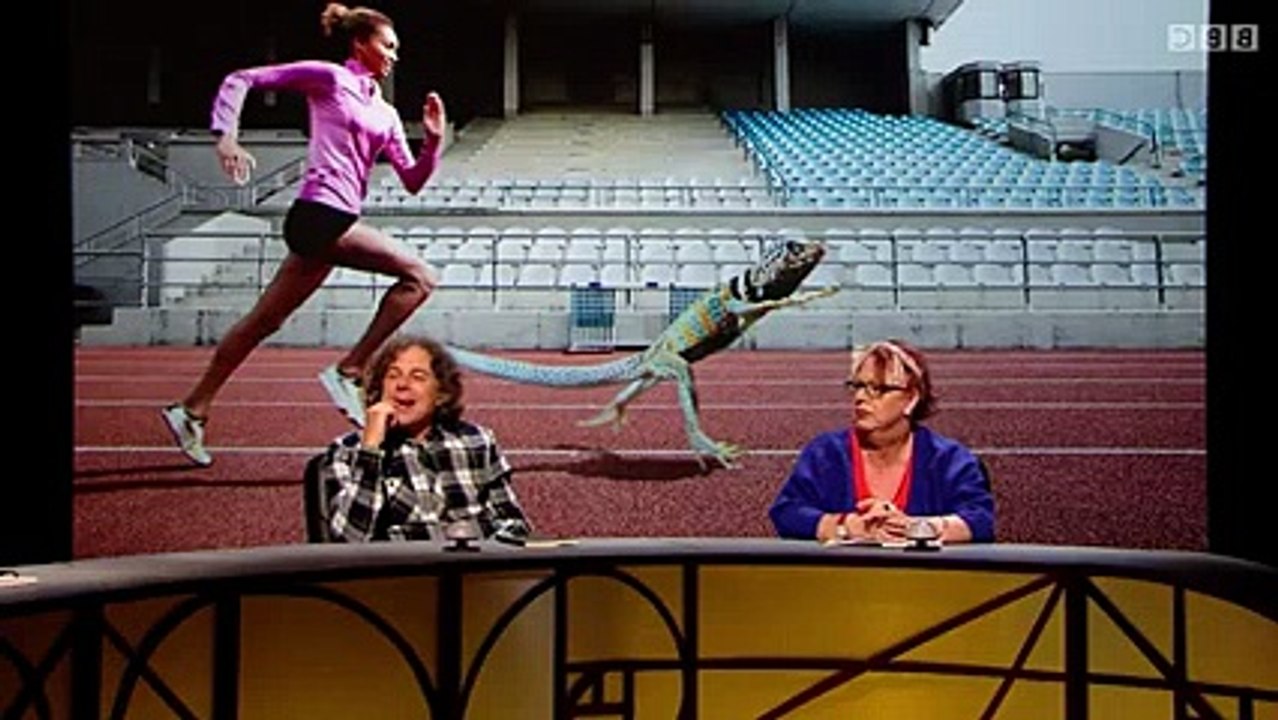 QI S12 E17 VG Part One