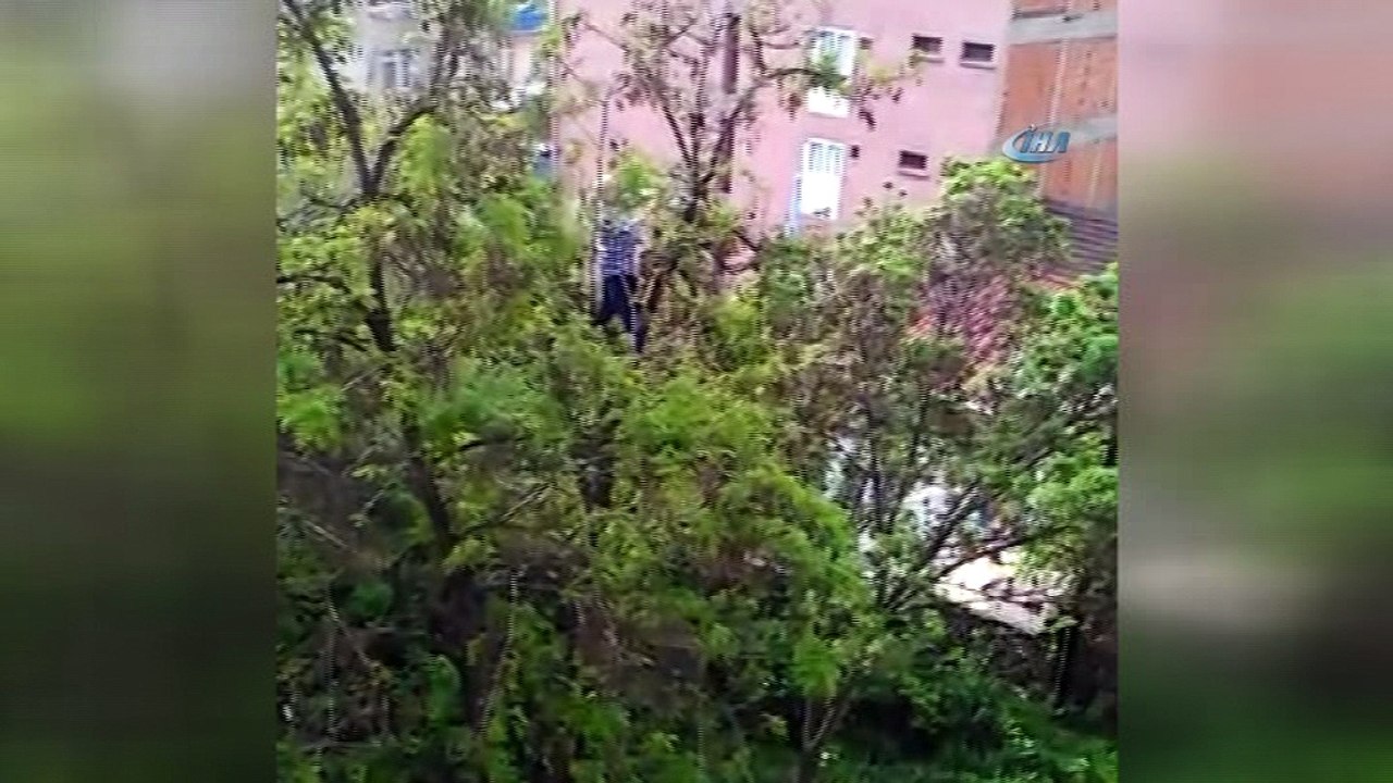 Ayağına dolanan iple ağaçta mahsur kalan güvercini vatandaşlar kurtardı