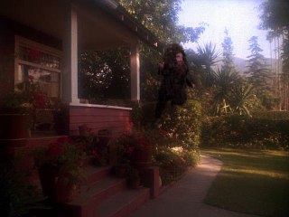 Amazing Stories S01E16 Gather Ye Acorns