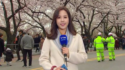 [날씨] 휴일 꽃샘추위·벚꽃 절정...중부 한때 비 / YTN