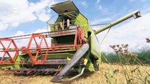 Deutsch lernen (B2/C1) | Viele Bio-Bauern geben auf