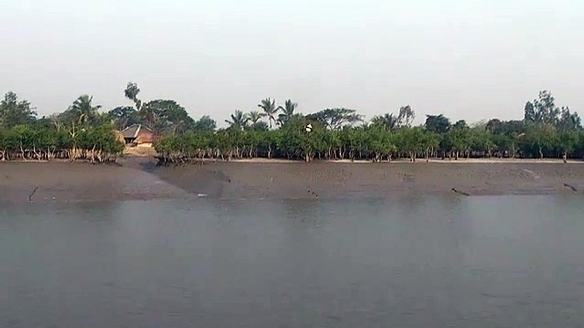 Village Sundarbans