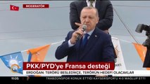 PKK/PYD'ye Fransa desteği