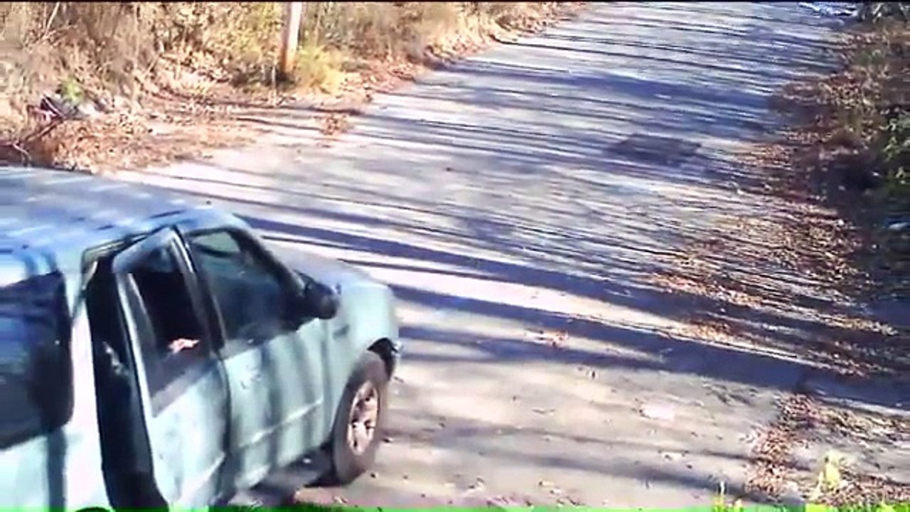 Ils abandonnent lâchement leur Pit Bull au bord de la route....quelques heures plus tard, l'impensable se produit