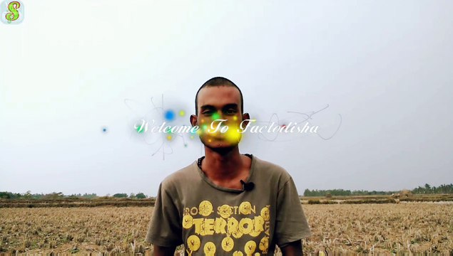 ଏବେ ମାତ୍ର ୫୦୦୦ ଟଙ୍କାରେ ଫିଙ୍ଗରପ୍ରିଣ୍ଟ ଥିବା ଫୋନ୍ || Fingerprint Sensor Smartphone under 5000 || Tenor G