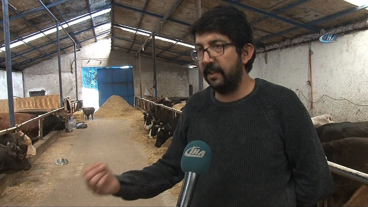 Mermer tozunun faydaları saymakla bitmiyor