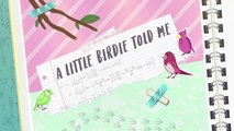 A Little Birdie Told Me - EQG - Better Together (中文字幕; Chinese Subtitled)