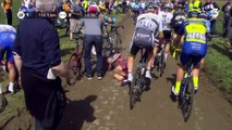 Paris-Roubaix 2018 : Greg Van Avermaet après piégé une chute dans le peloton !