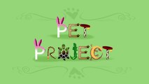 Pet Project - EQG - Summertime (中文字幕; Chinese Subtitled)