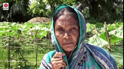 Chaina Bou I চায়না বউ I Bangla Comedy Natok 2018