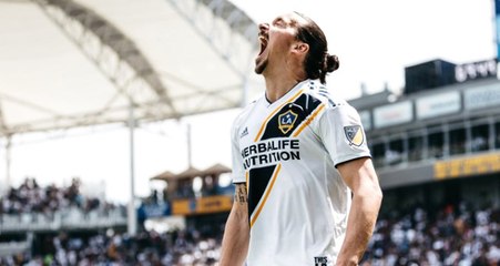Zlatan Ibrahimovic, FIFA'ya Meydan Okudu