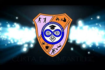 0052-Tempestade solar