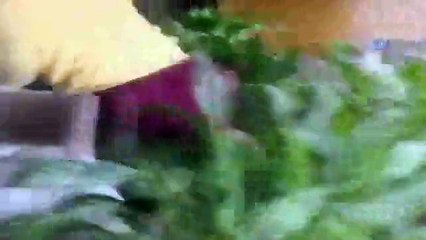 Gemi Kazansında Restoranda Yaşanan Panik Anları