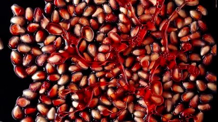 Adventures In Imagination M&S Food - TV Ad 2014