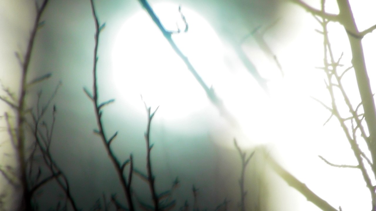 Apr 8 2018 DL8