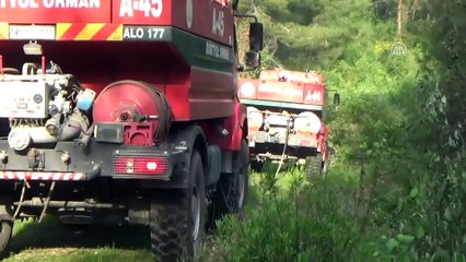 Orman yangını - HATAY