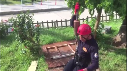 Yavru Kediyi İtfaiye Ekipleri Kurtardı