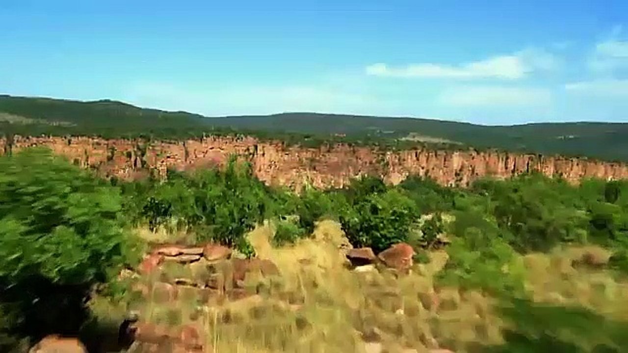 T4 - El Club de la Pelea Animal - Ep2 - Arriesgarse o Morir