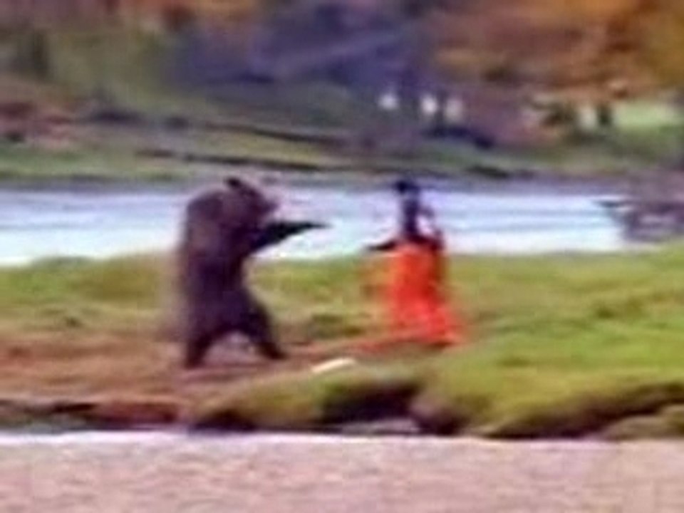 Pelea De Oso