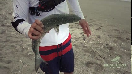 Kumsal Köpekbalığı Balıkçı Mücadele, Sonunda bir fırsat Yakaladı! | Kalkan kardeşler jigging videoları