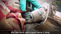 Descubren tres momias chinas durante unas obras en Lima