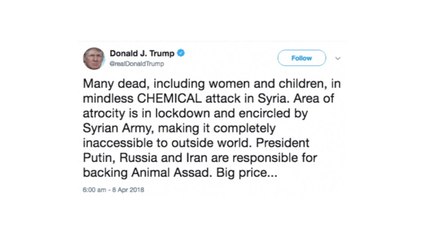 트럼프 "짐승 같은 아사드...큰 대가 치를 것" / YTN