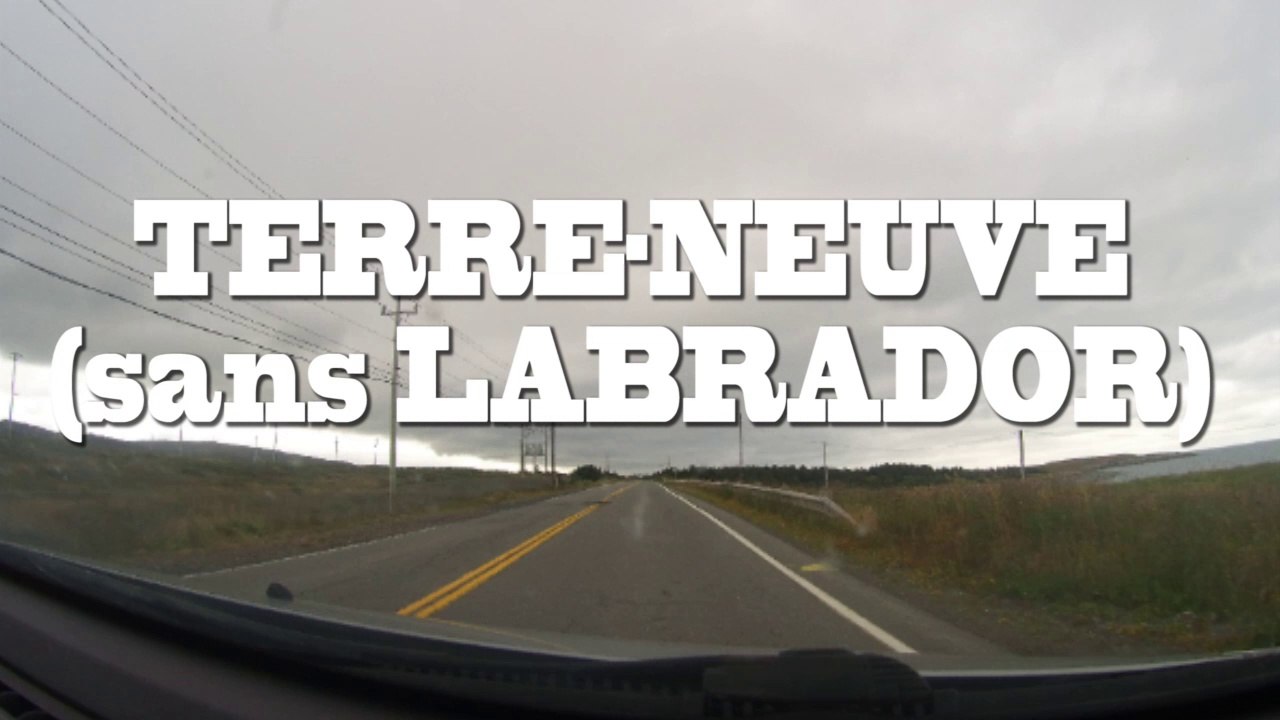 Le castor en vadrouille à Terre-Neuve-et-Labrador