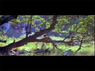 karthik super hit romantic song -maniyae mani kuyilae