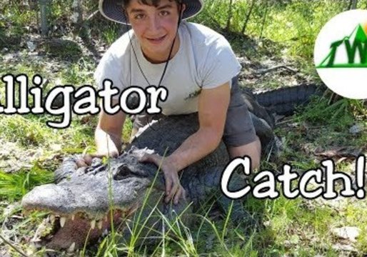 Young Explorer Wrestles and Straddles American Alligator in Central Florida