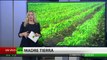 Agricultores argentinos consiguen buena cosecha sin usar agrotóxicos