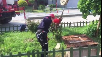 5 Metre Derinlikteki Kanalizasyona Düşen Yavru Kedi Böyle Kurtarıldı