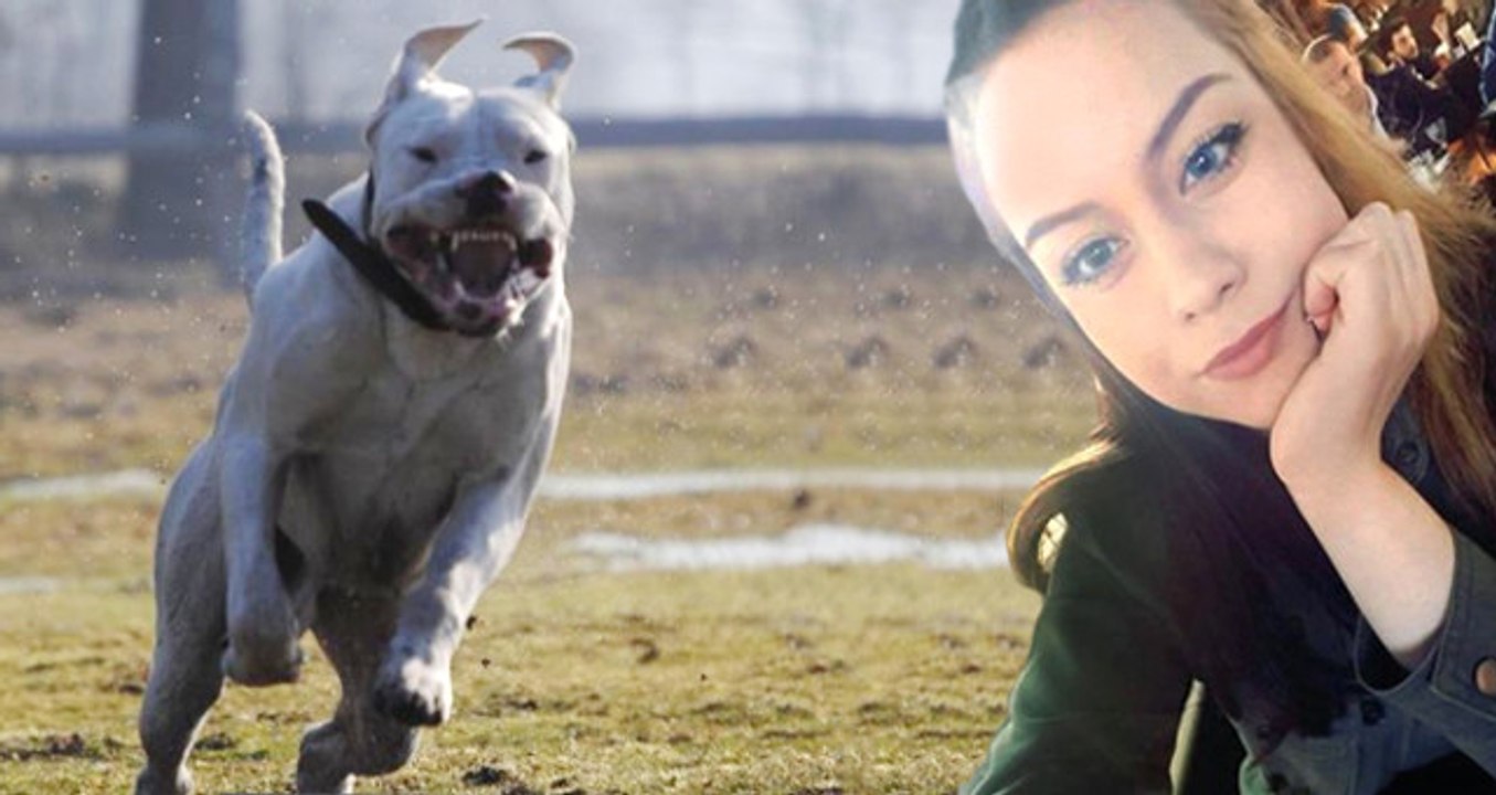 Kopegin Saldirisina Ugrayan Genc Kiz Hem Isinden Hem Evinden Oldu Dailymotion Video