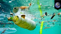 Great Pacific Garbage Patch is 16 times bigger than previously estimated - TomoNews
