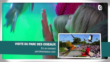 AGENDA RÉGION - 9 AVRIL 2018