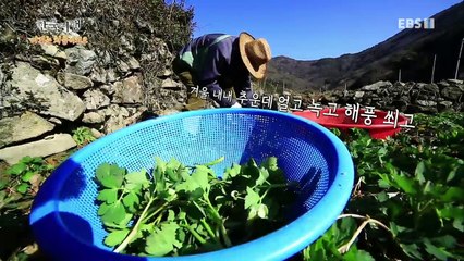 한국기행 - Korea travel_여기는 처음이지요 1부 새 봄이 앞에 있으니_#002