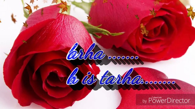 whatsaap romantic video/kuch is tarha/shadabalam video c/ sad status video, whatsapp love status video, whatsapp emotional status, whatsapp latest status, whatsapp love status, whatsapp love video, whatsapp sad status, /kuch is tarha/1921 bollywood