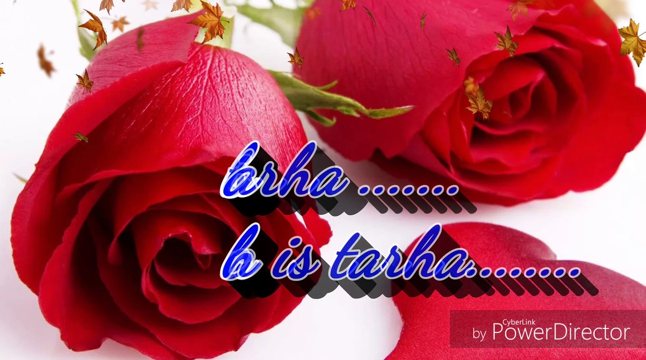 whatsaap romantic video/kuch is tarha/shadabalam video c/ sad status video, whatsapp love status video, whatsapp emotional status, whatsapp latest status, whatsapp love status, whatsapp love video, whatsapp sad status, /kuch is tarha/1921 bollywood