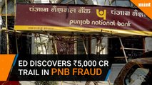 ED discovers Rs 5,000 crore trail in PNB fraud