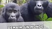 Demain, un monde sans grands singes ?