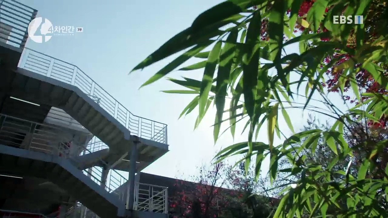 EBS 다큐프라임 - Docuprime_'4차 인간' 3부- 어떻게 기계와 공존할 것인가?_#001