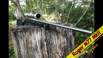 Ruger M77 MKII