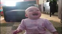 Funny Baby Giggling Video: Dog Makes Baby Laugh Uncontrollably!!!