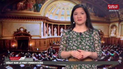 Débat sur le fret ferroviaire - Les matins du Sénat (09/04/2018)