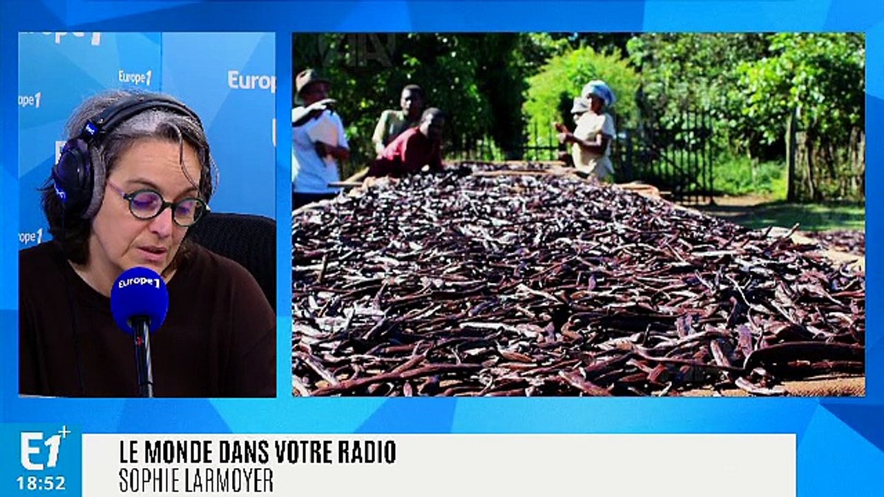 La vanille de Madagascar, l'épice de toutes les convoitises