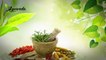एलोवेरा के चमत्कारी फायदे   Health Benefits of Aloe Vera - Ayurveda   The Science Of life