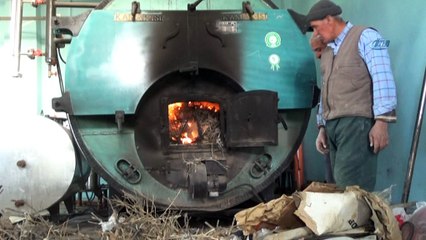 2 milyon TL'lik tesisi kargalar istila etti