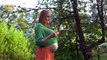Health Benifits of Sesame Seeds during Pregnancy in hindi - Pregnancy Gyan