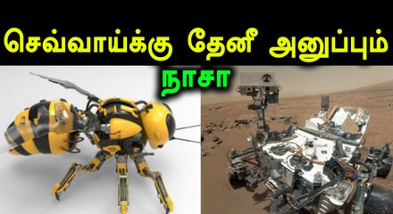 ரோபோ தேனீக்களை செவ்வாய் கிரகத்திற்கு அனுப்ப நாசா திட்டம்- வீடியோ