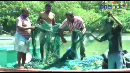 விசைப்படகு மீனவர்கள் வேலை நிறுத்தம்- வீடியோ